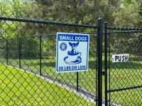 Small Dog Section