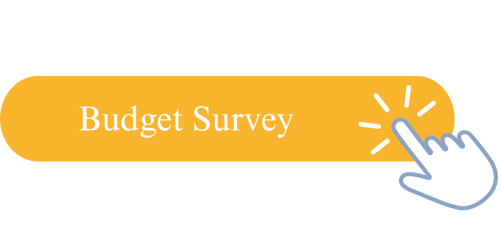 Budget Button