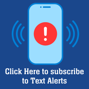 Cell phone alert