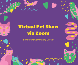 Virtual Pet Show