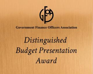 2021 Government Finance Officers Association (GFOA) Distinguished Budget Presentation Award