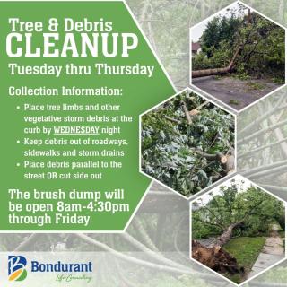 Debris Cleanup