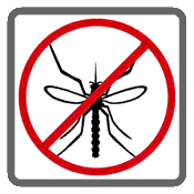 Mosquito