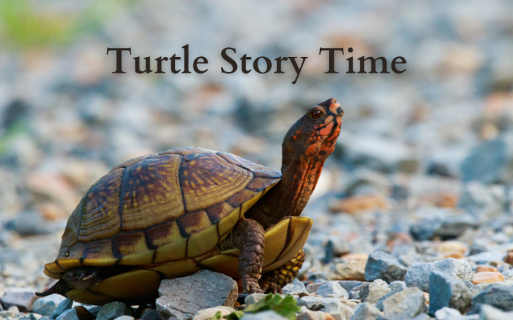 Turtle Story Time