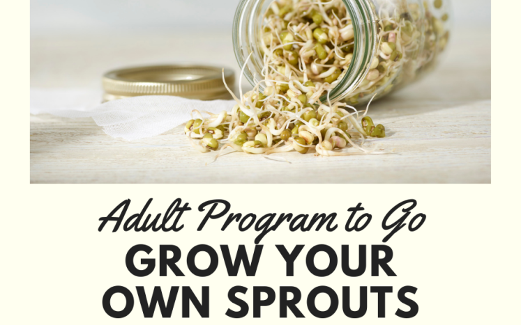 Grow your own sprouts kit