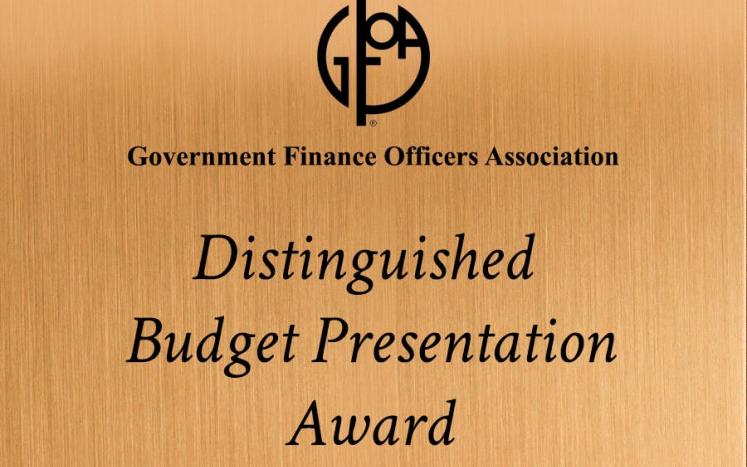 2021 Government Finance Officers Association (GFOA) Distinguished Budget Presentation Award
