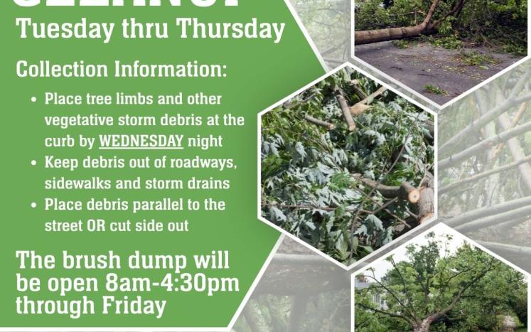 Debris Cleanup