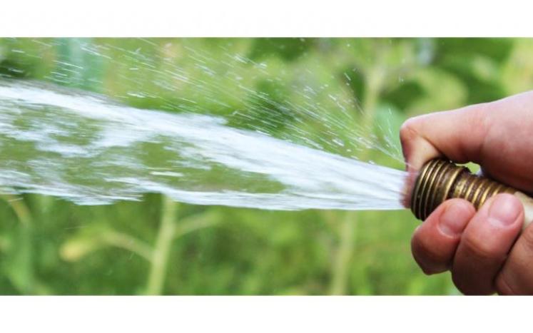Irrigation Image
