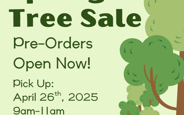 SPRING TREE SALE, PRE-ORDERS OPEN NOW. GRAPHIC OF TREE
