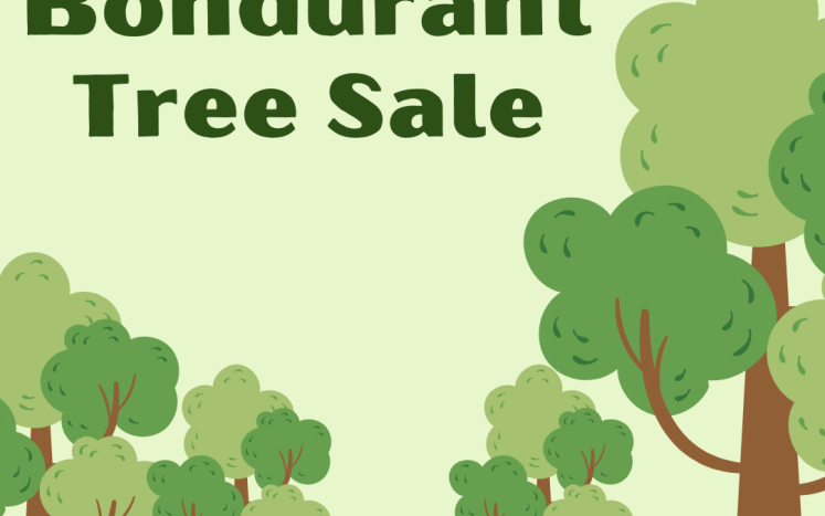 Cartoon image of trees on hill with the text "Bondurant Tree Sale"